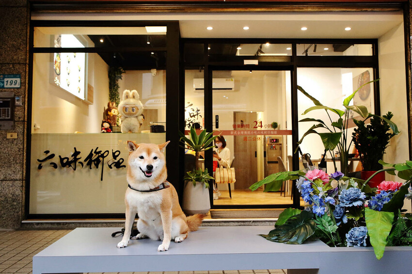 【六味御品麵線】永和新開麵線店,24小時營業,超浮誇ㄟ麵線, 【六味御品麵線】永和新開麵線店,24小時營業,超浮誇ㄟ麵線,