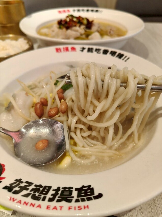 台北京站美食推薦-好想摸魚台北京站店-大口吃酸菜魚感受那清新