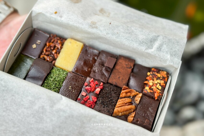 台南包棟民宿推薦｜台南寵物友善民宿『樹舍開山館』