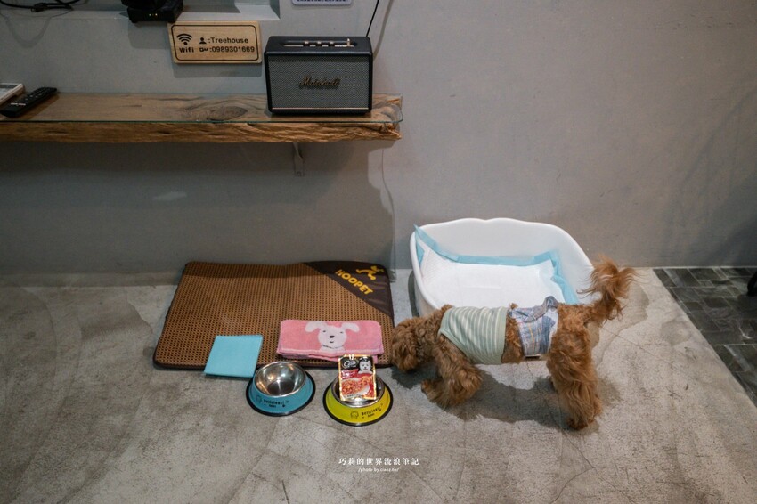 台南包棟民宿推薦｜台南寵物友善民宿『樹舍開山館』