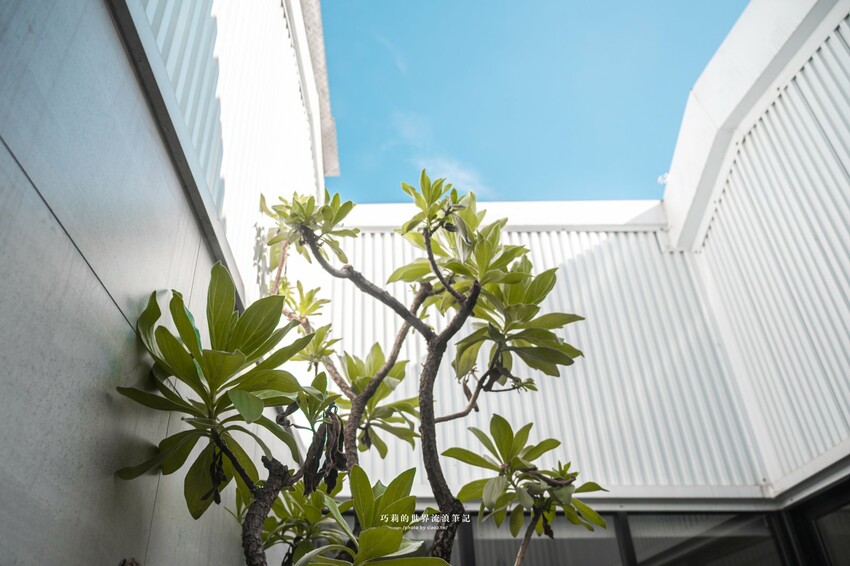 台南包棟民宿推薦｜台南寵物友善民宿『樹舍開山館』