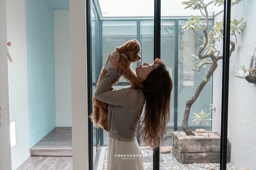 台南包棟民宿推薦｜台南寵物友善民宿『樹舍開山館』