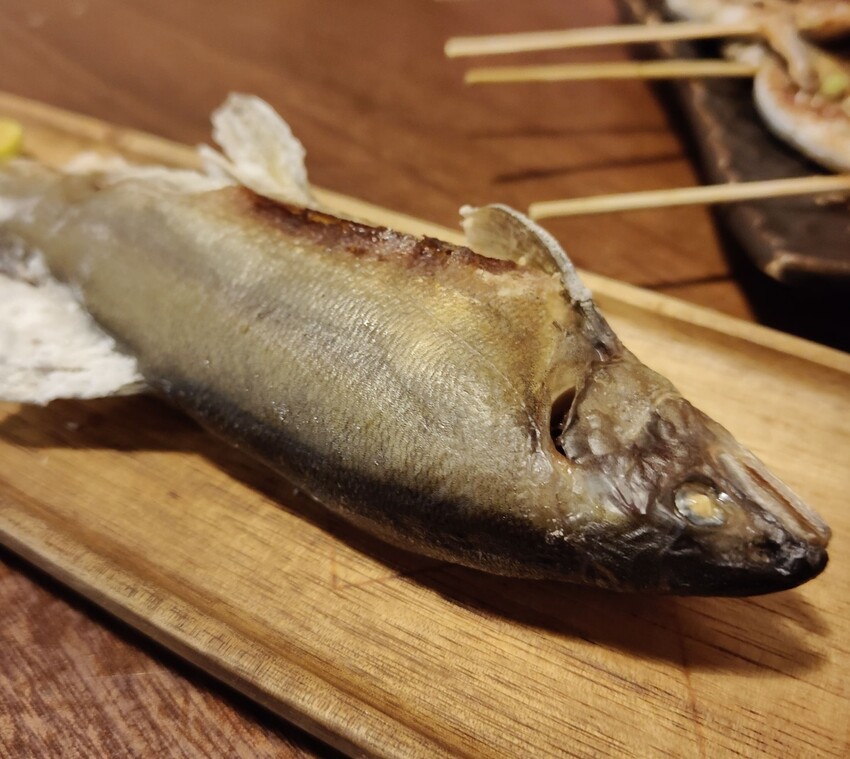 新竹巷弄裡的美味｜京町家日式串燒居酒屋：炭香串燒、清酒小酌剛剛好！