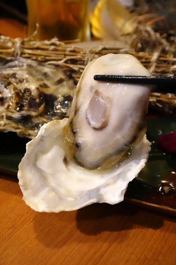 桃園市桃園區進化的燒肉吃到飽推薦：燒肉火鍋走向日料美學新境界，桃園福犇燒肉燒肉火鍋吃到飽＋K歌嗨唱不是夢