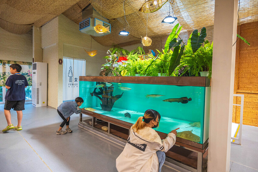 來馬食光｜2025苗栗頭份美食推薦｜苗栗聚餐餐廳推薦｜頭份美食推薦