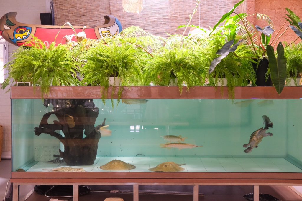 苗栗頭份新開幕!正宗馬來西亞料理 來馬食光,沁涼巨無霸南洋刨冰推薦。