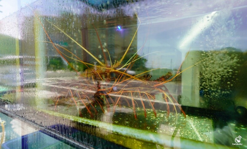 新北市萬里區大益發萬里蟹活海鮮餐廳｜在地人私藏的萬里現撈活海鮮，夏天也能爽爽吃蟹！