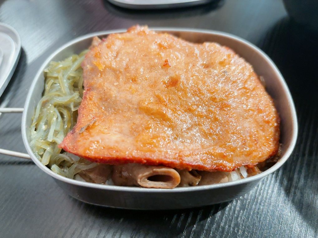 桃園龜山平價美食推薦!上座古傳滷肉飯專賣店超懷舊,古早摩天輪套餐。