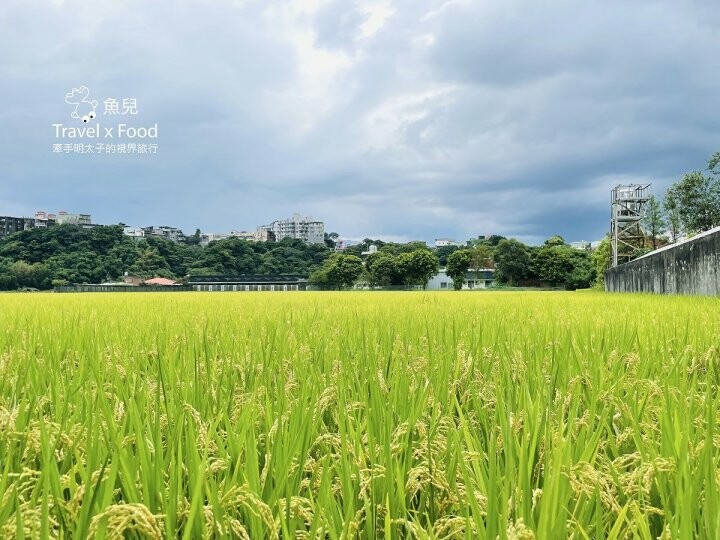 桃園大溪-田中央galato義式冰淇淋、咖啡、餐