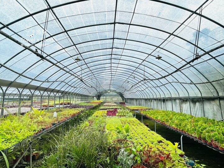 桃園大溪-田中央galato義式冰淇淋、咖啡、餐