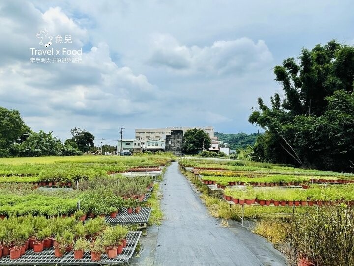 桃園大溪-田中央galato義式冰淇淋、咖啡、餐