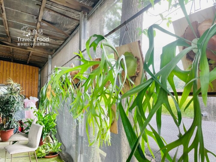 桃園大溪-田中央galato義式冰淇淋、咖啡、餐