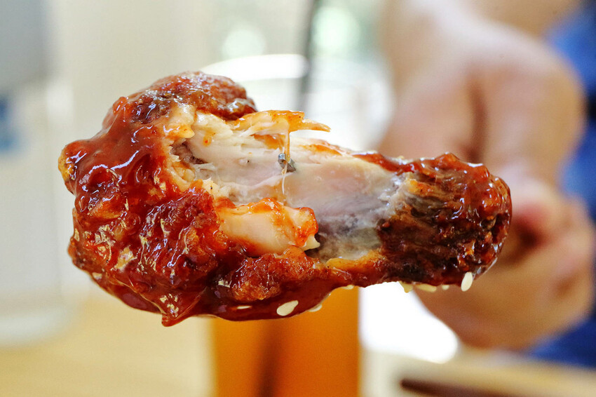 桃園龜山狗狗專屬樂園再+1！【Nose.Y Café 】林口