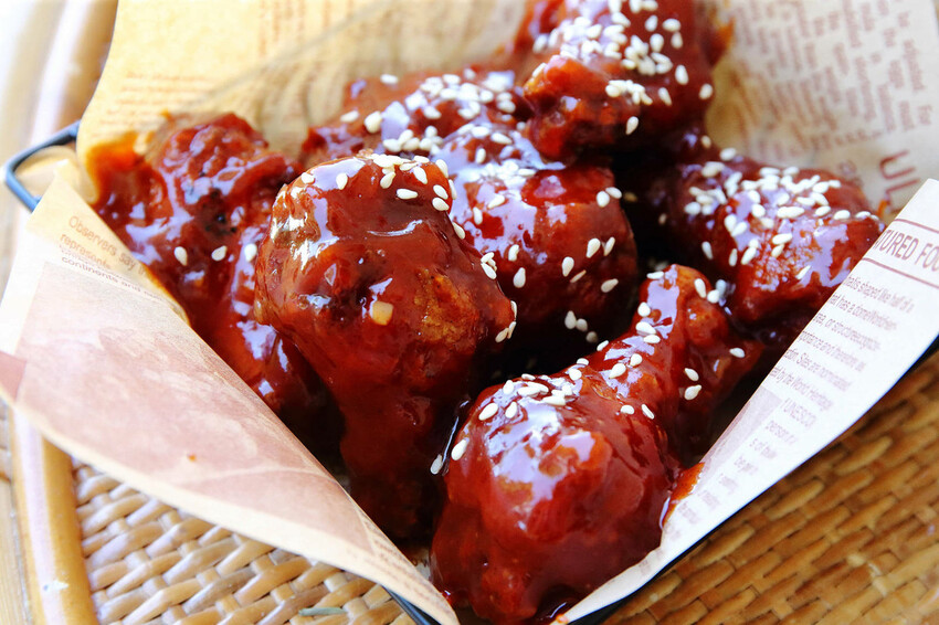 桃園龜山狗狗專屬樂園再+1！【Nose.Y Café 】林口