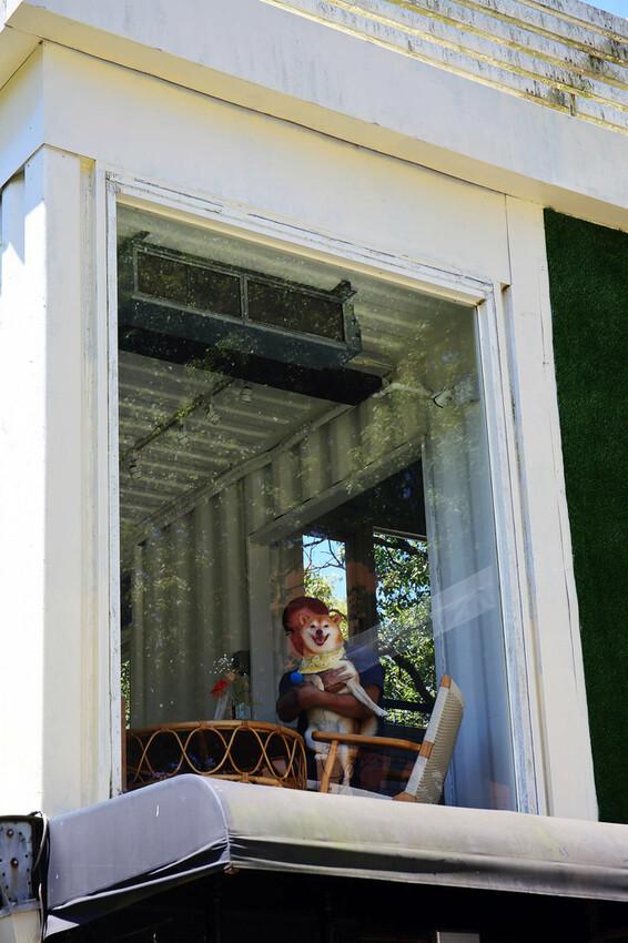 桃園龜山狗狗專屬樂園再+1！【Nose.Y Café 】林口