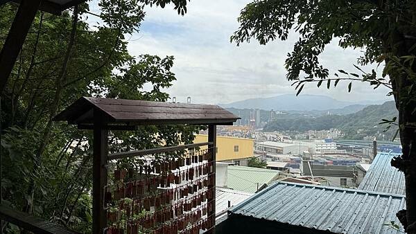 IMG_7952 (1).jpg IMG_7952 (1).jpg