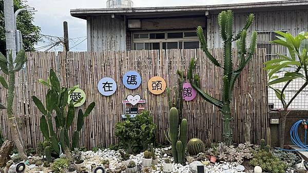 IMG_7972.jpg IMG_7972.jpg