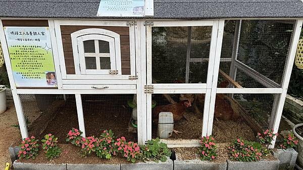 IMG_7974 (1).jpg IMG_7974 (1).jpg