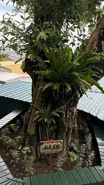 IMG_7953 (1).jpg IMG_7953 (1).jpg