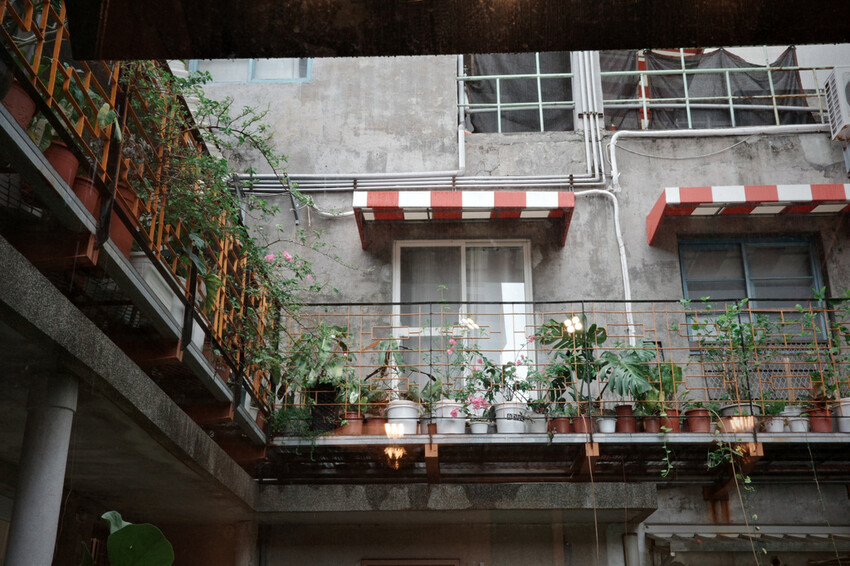 台南咖啡推薦【植也咖啡】成大巷弄裡的咖啡廳秘境│一杯手沖的慢 台南咖啡推薦【植也咖啡】成大巷弄裡的咖啡廳秘境│一杯手沖的慢