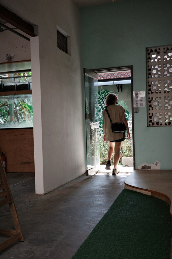 台南咖啡推薦【植也咖啡】成大巷弄裡的咖啡廳秘境│一杯手沖的慢 台南咖啡推薦【植也咖啡】成大巷弄裡的咖啡廳秘境│一杯手沖的慢