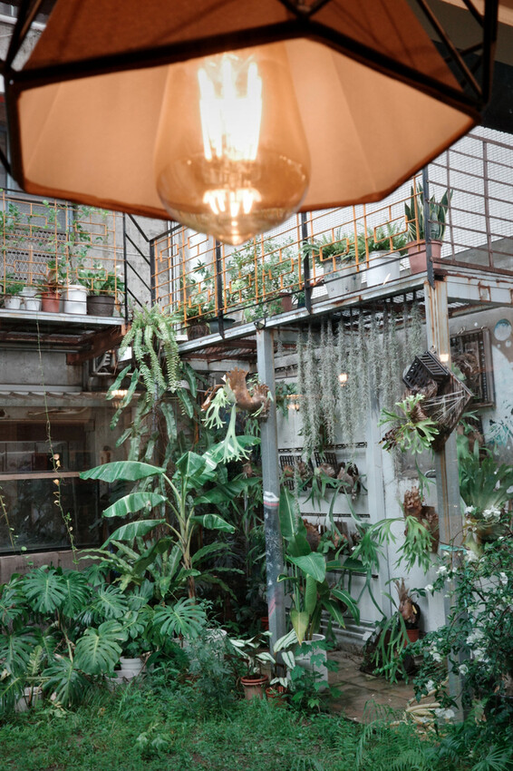 台南咖啡推薦【植也咖啡】成大巷弄裡的咖啡廳秘境│一杯手沖的慢 台南咖啡推薦【植也咖啡】成大巷弄裡的咖啡廳秘境│一杯手沖的慢