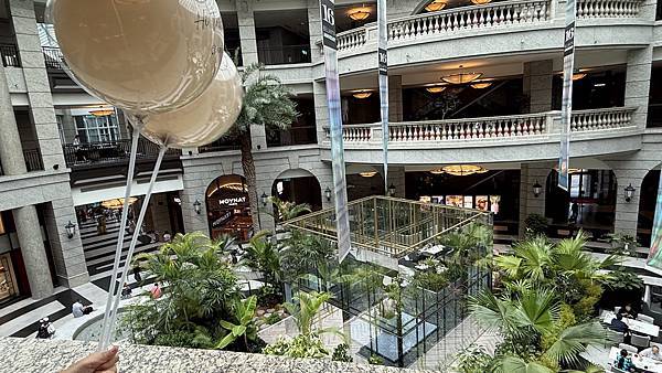 IMG_3586 (1).jpg IMG_3586 (1).jpg