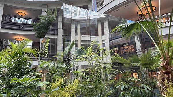 IMG_3579 (2).jpg IMG_3579 (2).jpg