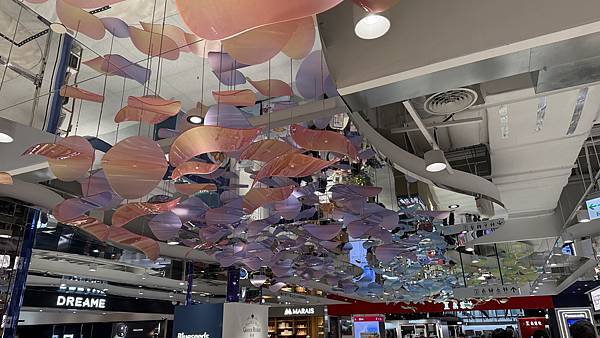 IMG_3537 (1).jpg IMG_3537 (1).jpg