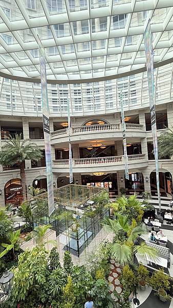 IMG_3587 (1).jpg IMG_3587 (1).jpg