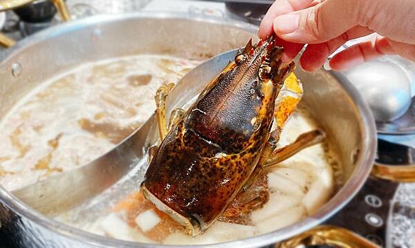 台北火鍋吃到飽推薦【武鶴和牛火鍋】吉林總店│鱈場蟹腳吃到飽、指定套餐送波士頓龍蝦、A5和牛老饕肉吃到飽│行天宮周邊美食-96.jpg 台北火鍋吃到飽推薦【武鶴和牛火鍋】吉林總店│鱈場蟹腳吃到飽、指定套餐送波士頓龍蝦、A5和牛老饕肉吃到飽│行天宮周邊美食-96.jpg