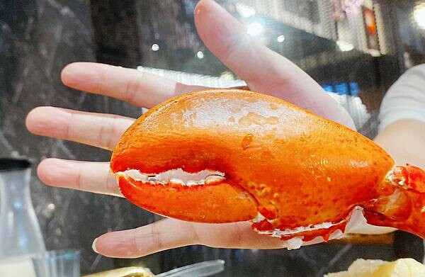 台北火鍋吃到飽推薦【武鶴和牛火鍋】吉林總店│鱈場蟹腳吃到飽、指定套餐送波士頓龍蝦、A5和牛老饕肉吃到飽│行天宮周邊美食-99.jpg 台北火鍋吃到飽推薦【武鶴和牛火鍋】吉林總店│鱈場蟹腳吃到飽、指定套餐送波士頓龍蝦、A5和牛老饕肉吃到飽│行天宮周邊美食-99.jpg