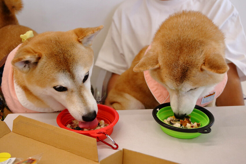 台北中山必吃美食+1！批薩謎勒Pizza超級無敵霹靂好吃！全