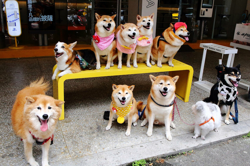 台北中山必吃美食+1！批薩謎勒Pizza超級無敵霹靂好吃！全