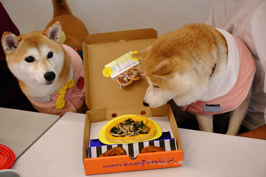 台北中山必吃美食+1！批薩謎勒Pizza超級無敵霹靂好吃！全