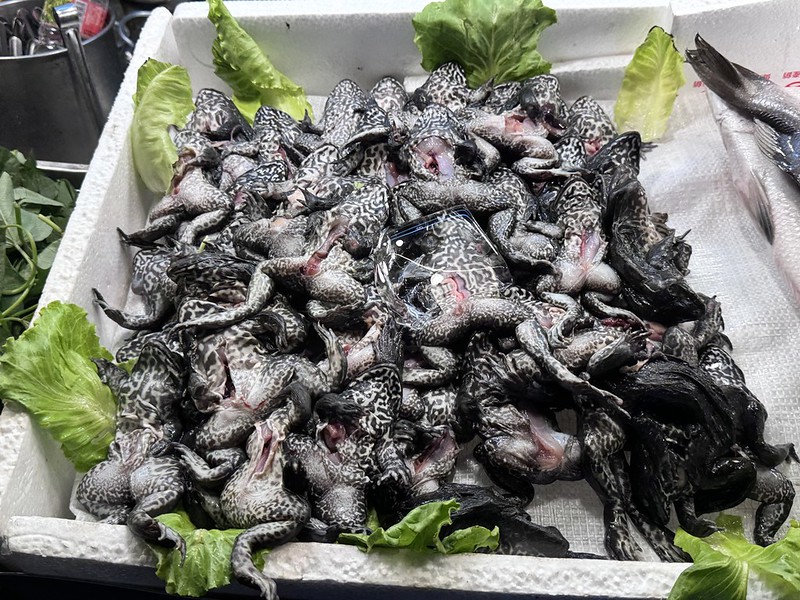 萬華梧州夜市必吃！50年蒜頭青蛙湯老店，搭魯肉飯整套吃。