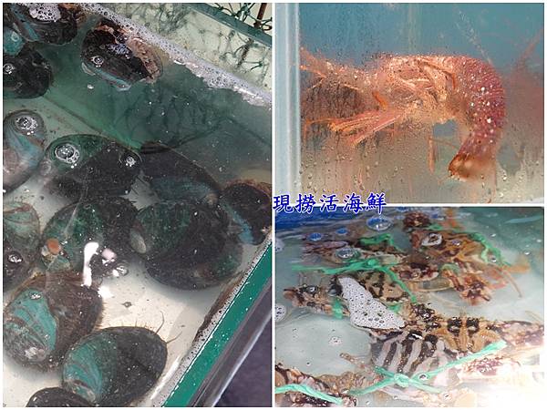 活海鮮區-古早味海鮮館 (2).jpg 活海鮮區-古早味海鮮館 (2).jpg