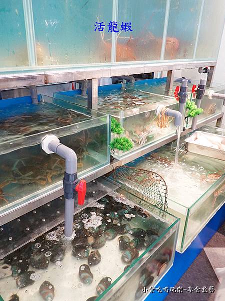 活海鮮區-古早味海鮮館 (1).jpg 活海鮮區-古早味海鮮館 (1).jpg
