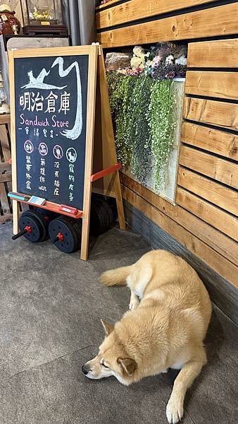 IMG_9248 (1).jpg IMG_9248 (1).jpg