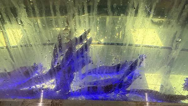 IMG_9361 (1).jpg IMG_9361 (1).jpg