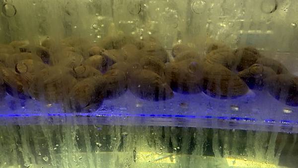 IMG_9360 (1).jpg IMG_9360 (1).jpg