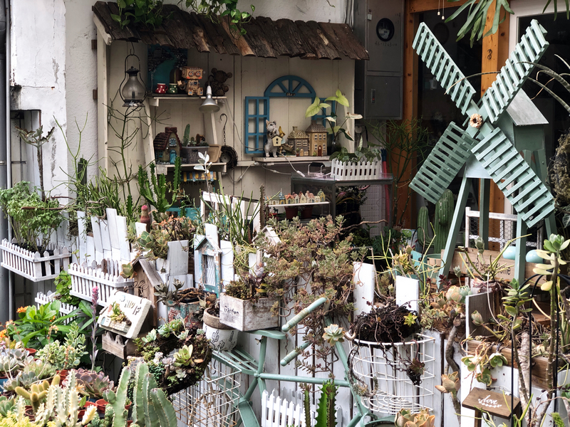 城市裡的療癒綠洲 內湖秘境咖啡廳綠光花園 捷運港墘站咖啡廳推薦 – Maji食尚旅圖