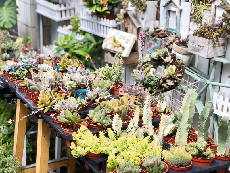 城市裡的療癒綠洲 內湖秘境咖啡廳綠光花園 捷運港墘站咖啡廳推薦 – Maji食尚旅圖