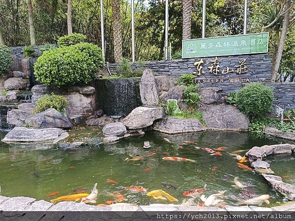 桃園楊梅住宿／麗多森林溫泉酒店，夜市採買美食放開吃，輕鬆泡湯