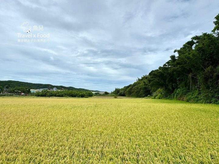CJ's Diner|僅六日營業~三合院裡的美式餐廳,英國老師在台圓夢的起點! - 魚兒 x 牽手明太子的「視」界旅行