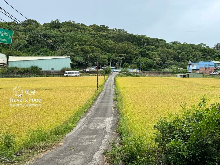 CJ's Diner|僅六日營業~三合院裡的美式餐廳,英國老師在台圓夢的起點! - 魚兒 x 牽手明太子的「視」界旅行