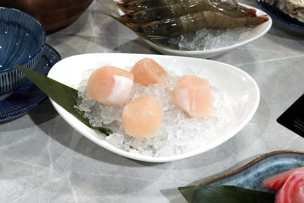 台北市大安區​去哪慶生最爽快？新肉多多肉蛋糕、魔術小卡、歡樂慶生超有儀式感！台北東區生日、聚餐首選