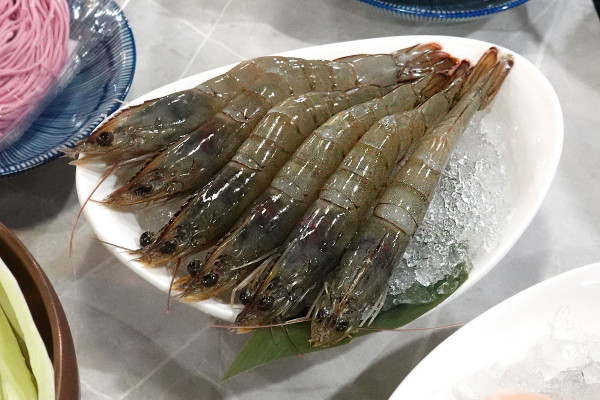 台北市大安區​去哪慶生最爽快？新肉多多肉蛋糕、魔術小卡、歡樂慶生超有儀式感！台北東區生日、聚餐首選