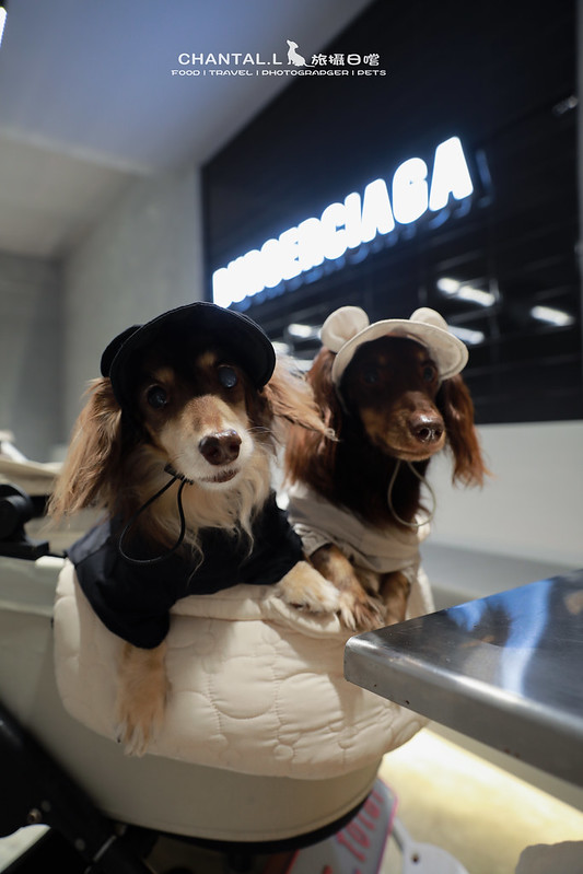 民生社區漢堡店！黑灰系Burgerciaga 漢堡世家，寵物友善毛孩可落地入座。