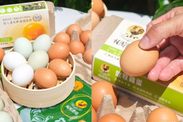 吃到飽自助吧超狂!台中異人館東英店新升級CP值爆表,超過50款美食任你吃。